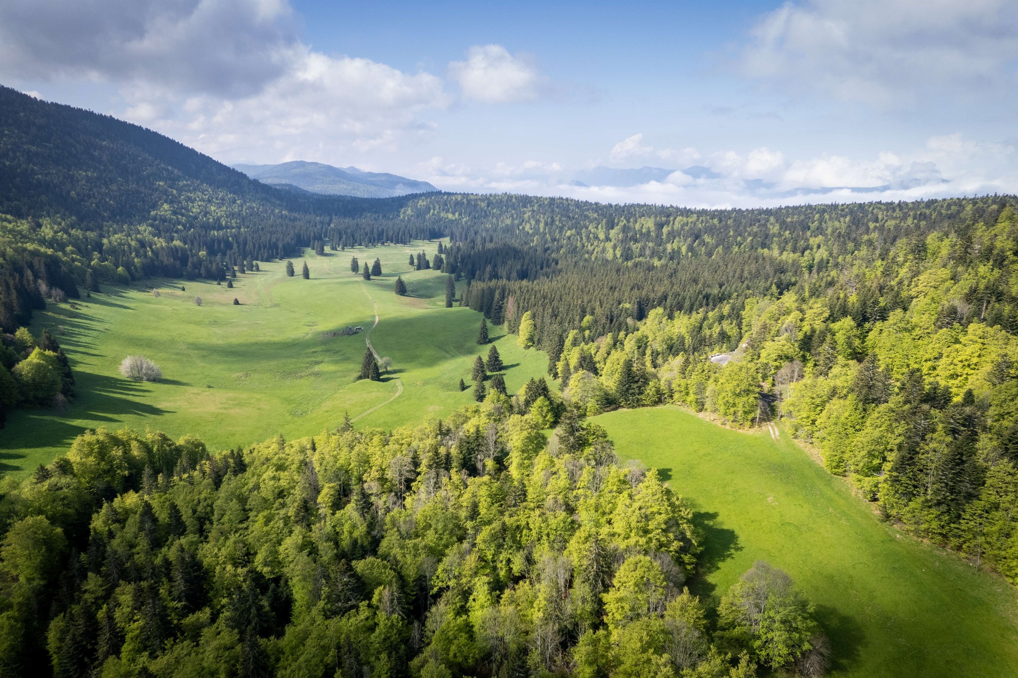 Plateau d'Herbouilly