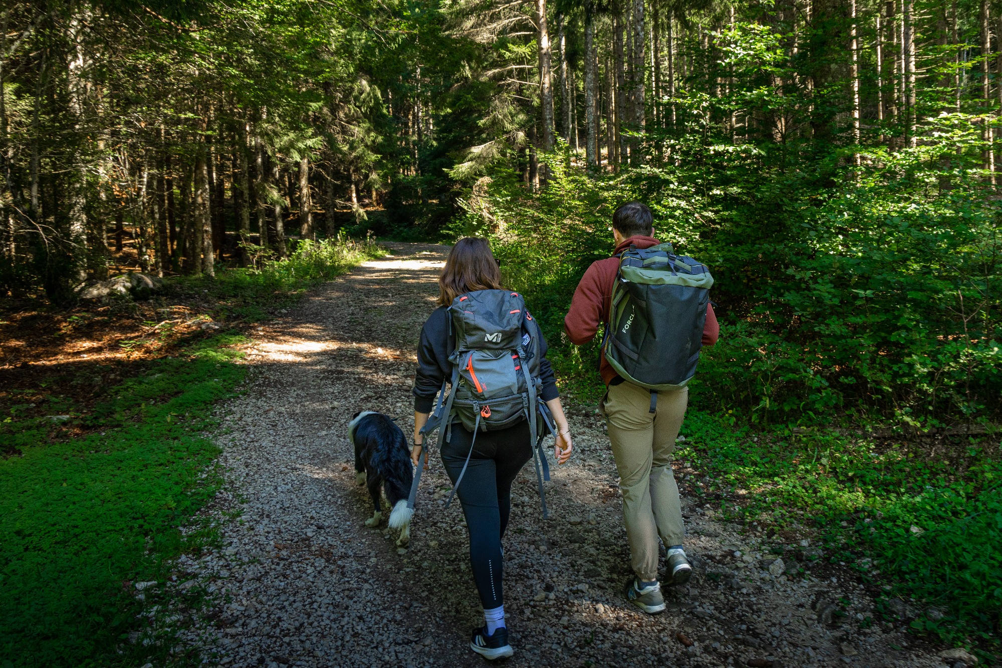 Randonneurs avec chien dans la forêt