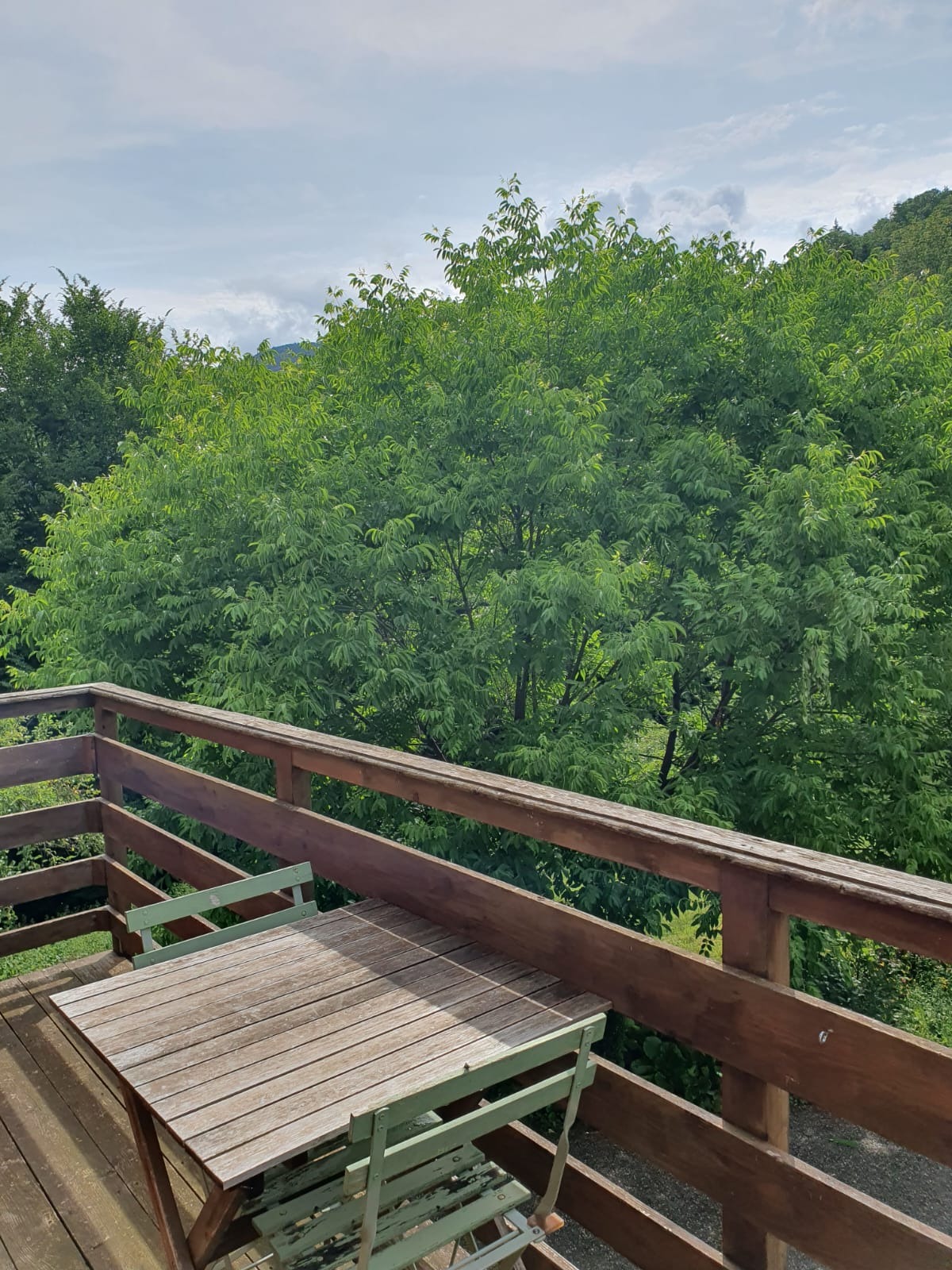 Le petit balcon du gîte du carpat avec vue sur la forêt.