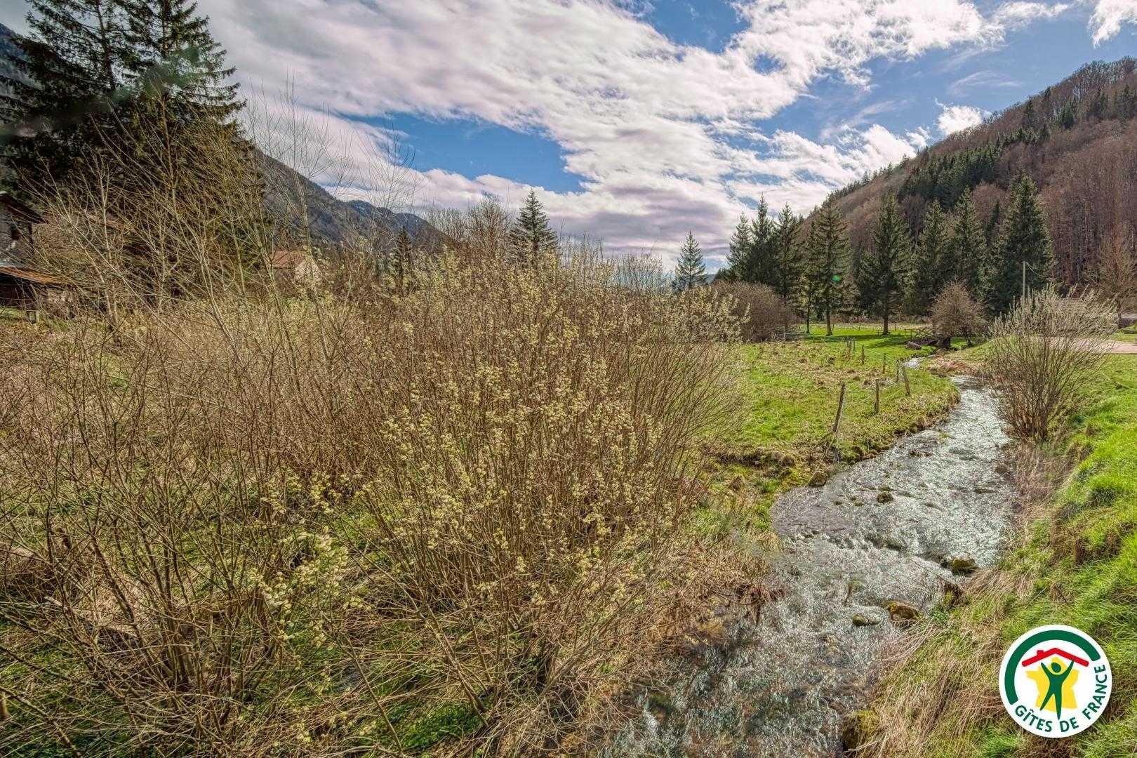 La nature autour du gîte