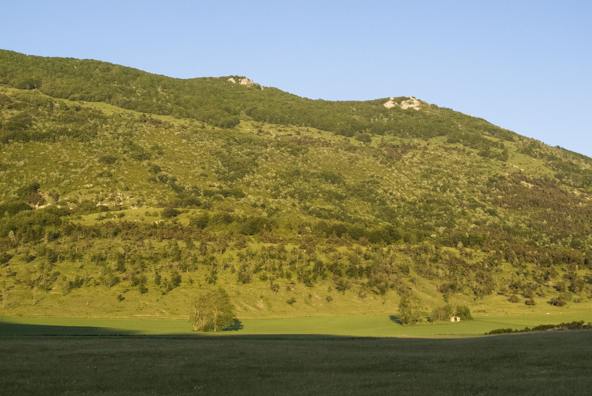 Environ de Léoncel