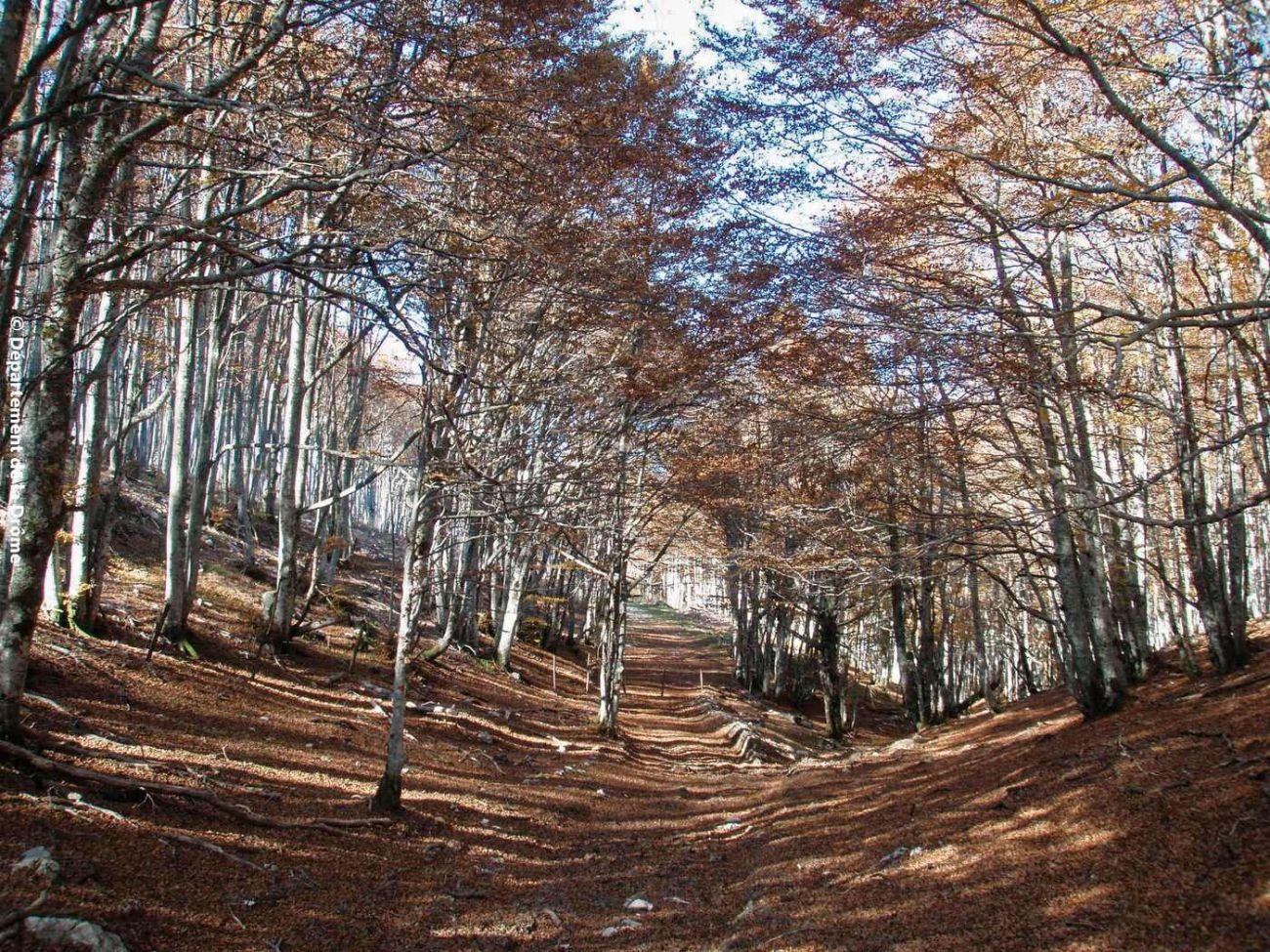 Montagne de Pélandré
