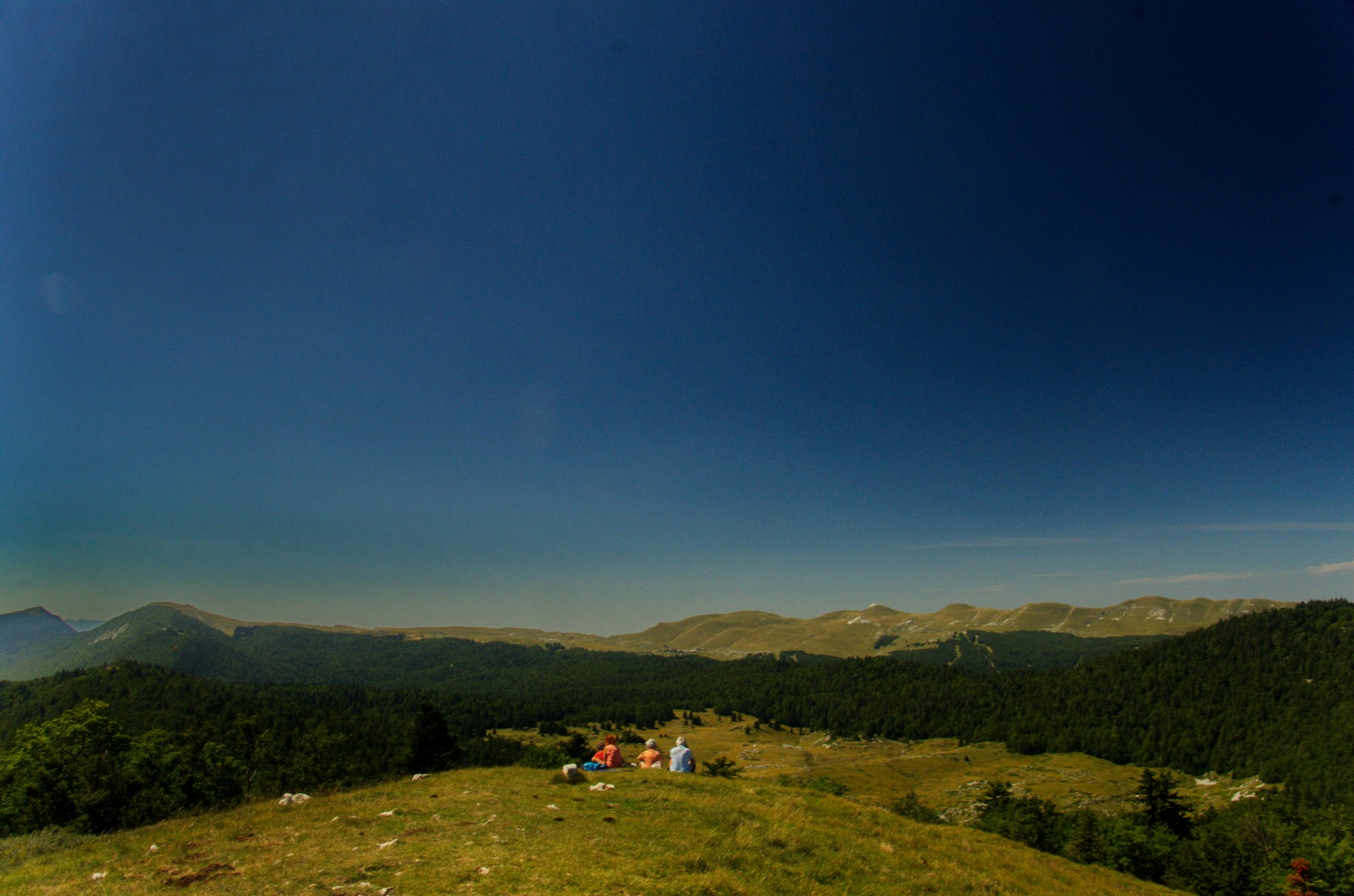 Panorama sur la forêt et les montagnes du Vercors
