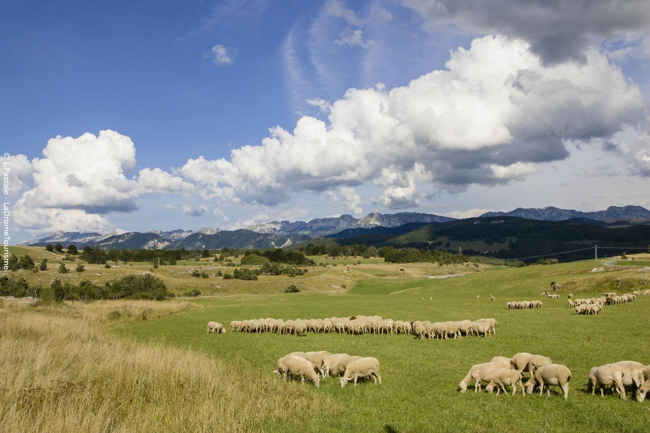 Sentier de la Frache