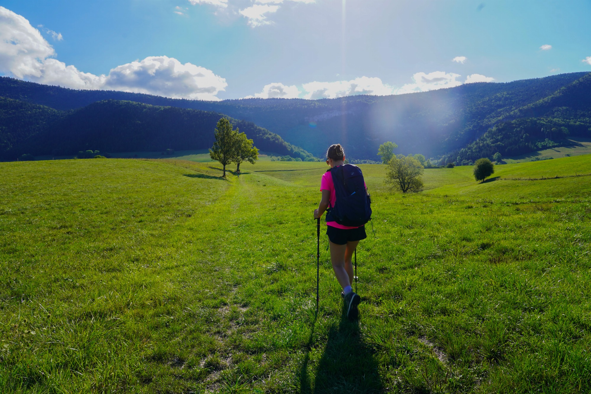 Plaine, forêt et montagne
