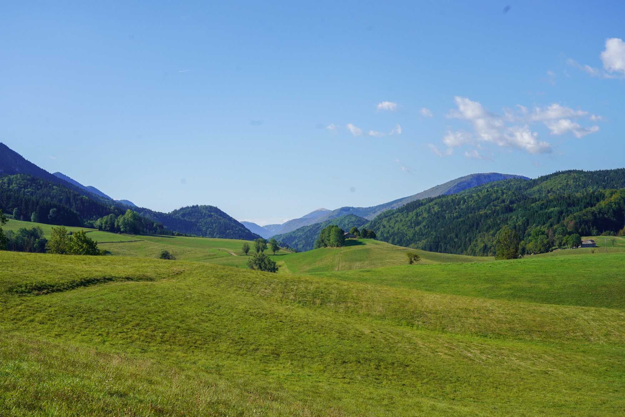 Plaine et montagne verdoyante