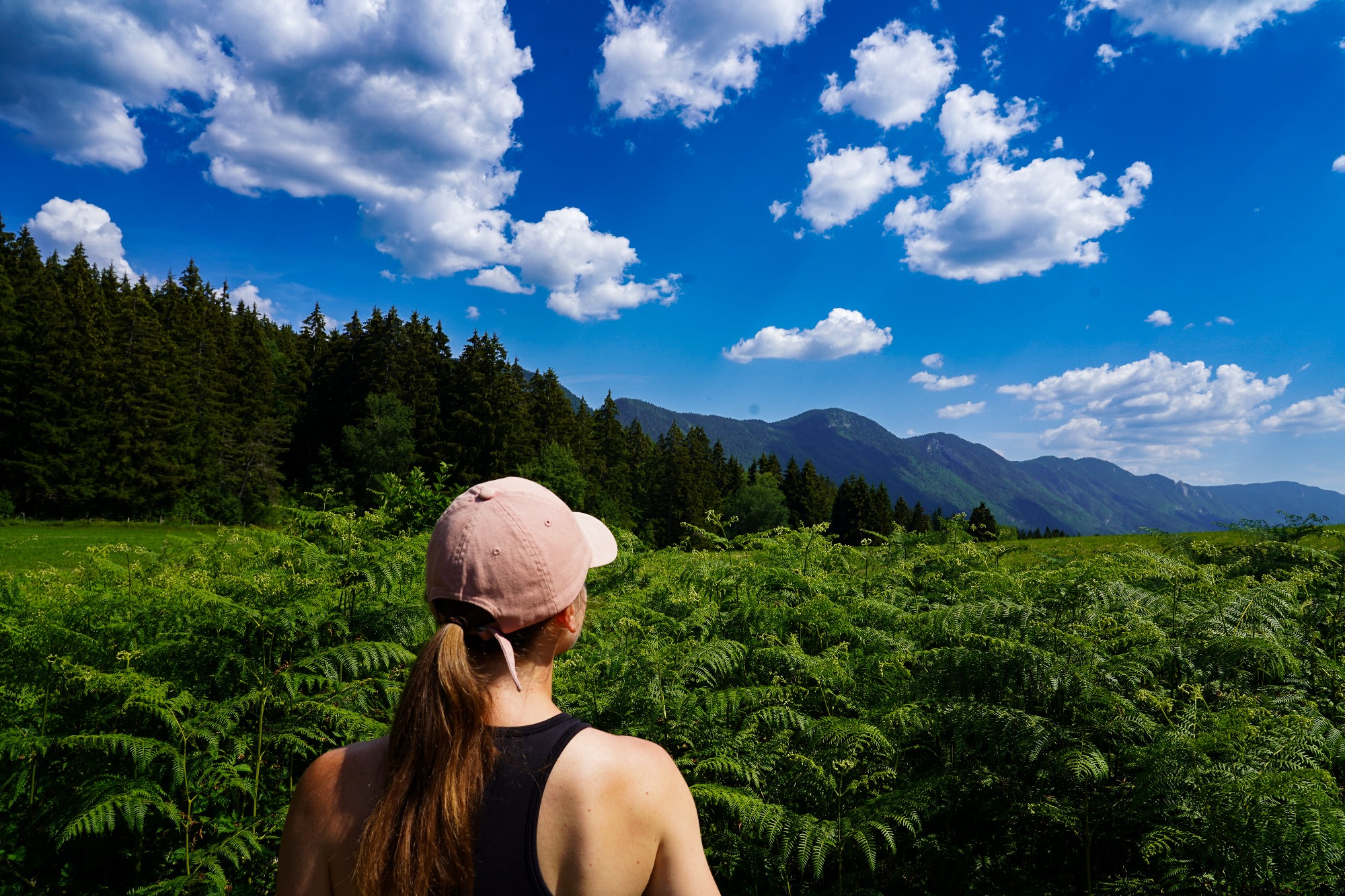Femme admirant le paysage verdoyant et montagneux.