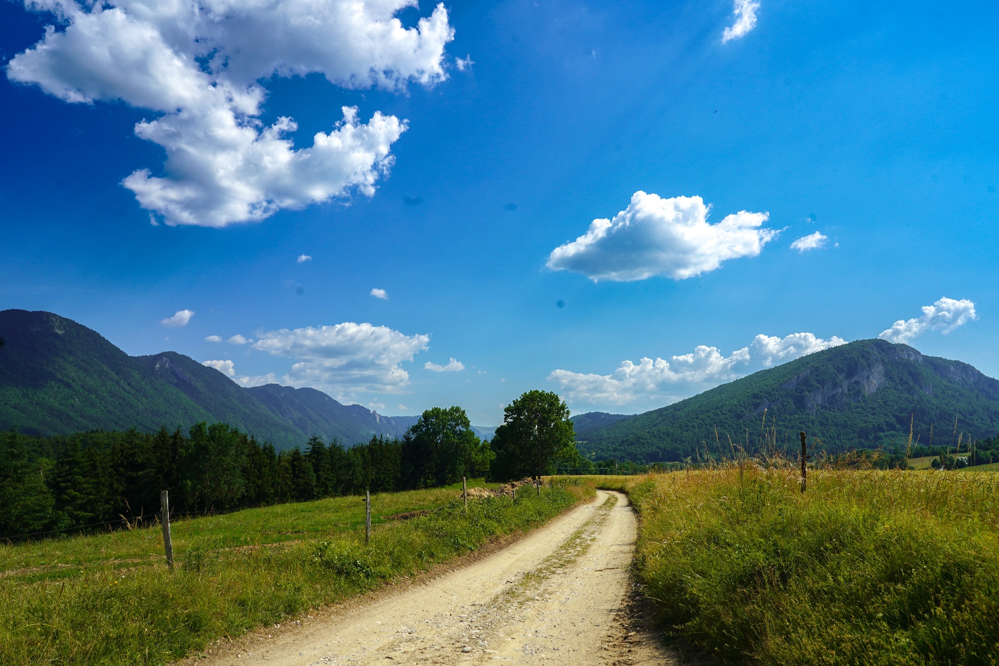 Chemin de terre serpentant entre des prairies verdoyantes, encadré par des montagnes boisées.