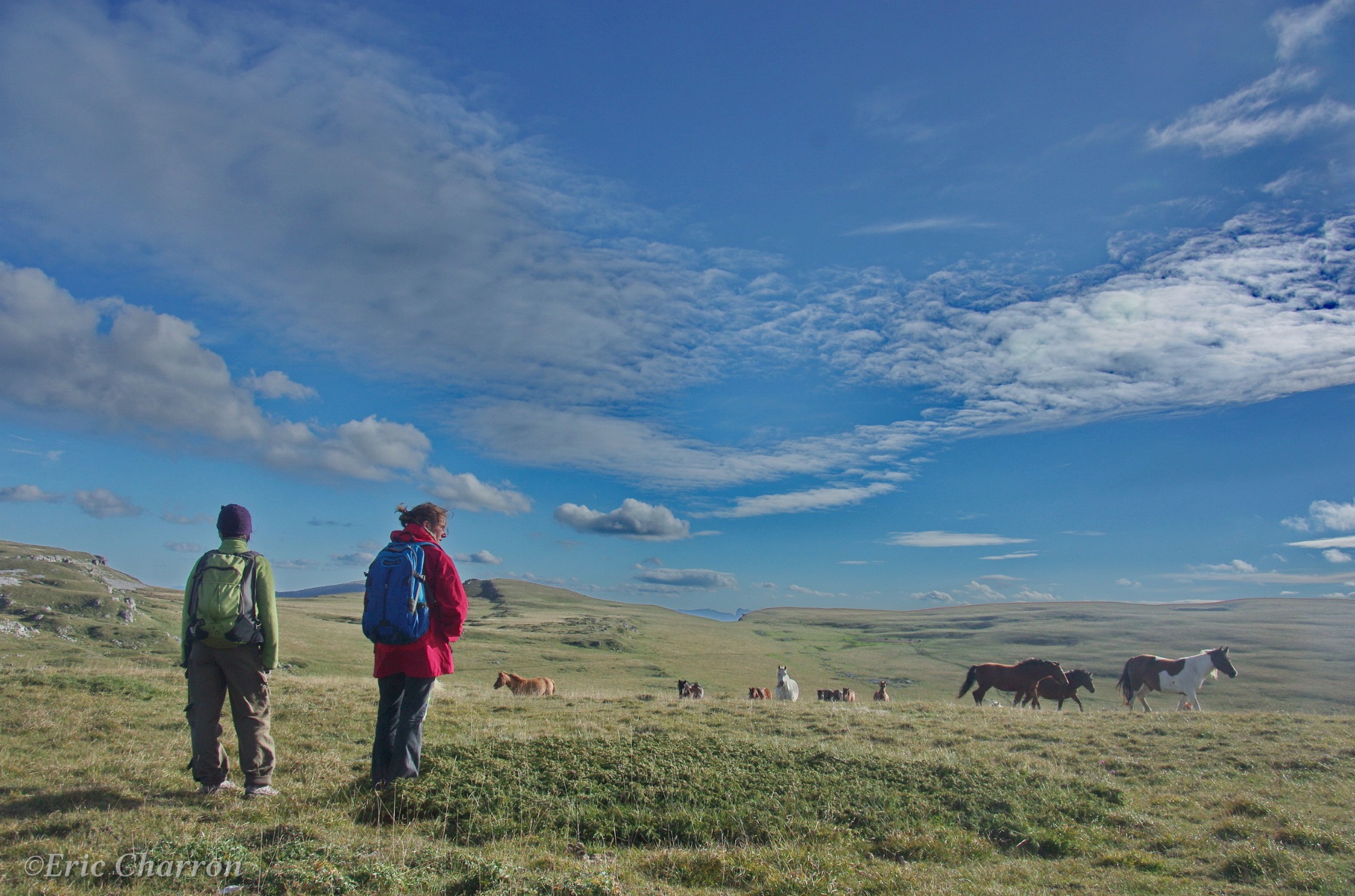 Deux randonneurs observent un troupeau de chevaux en liberté sur un vaste plateau d’altitude, sous un ciel immense parsemé de nuages.
