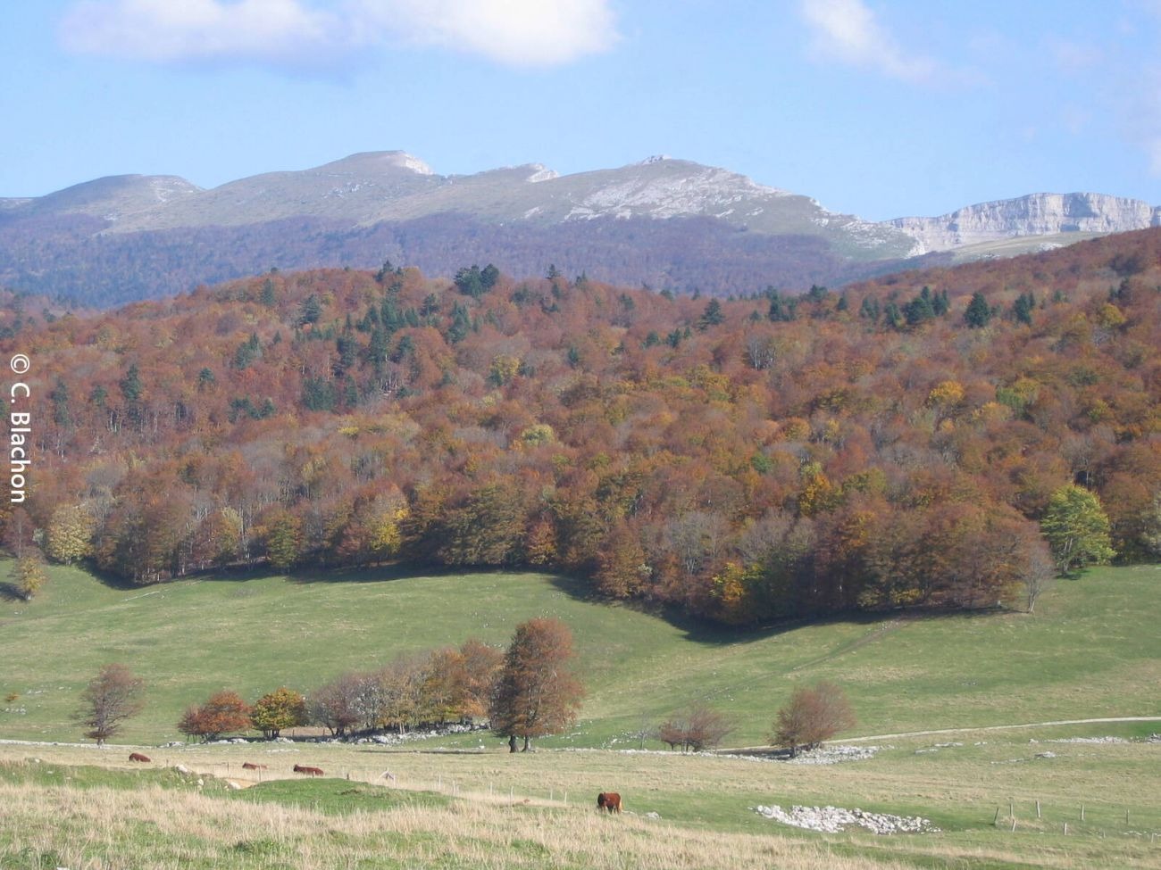Gampaloux