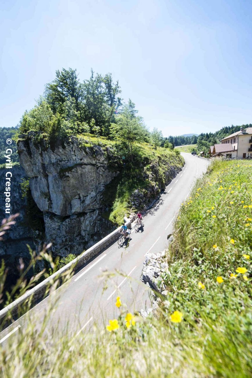 Gorges et forêts du Vercors