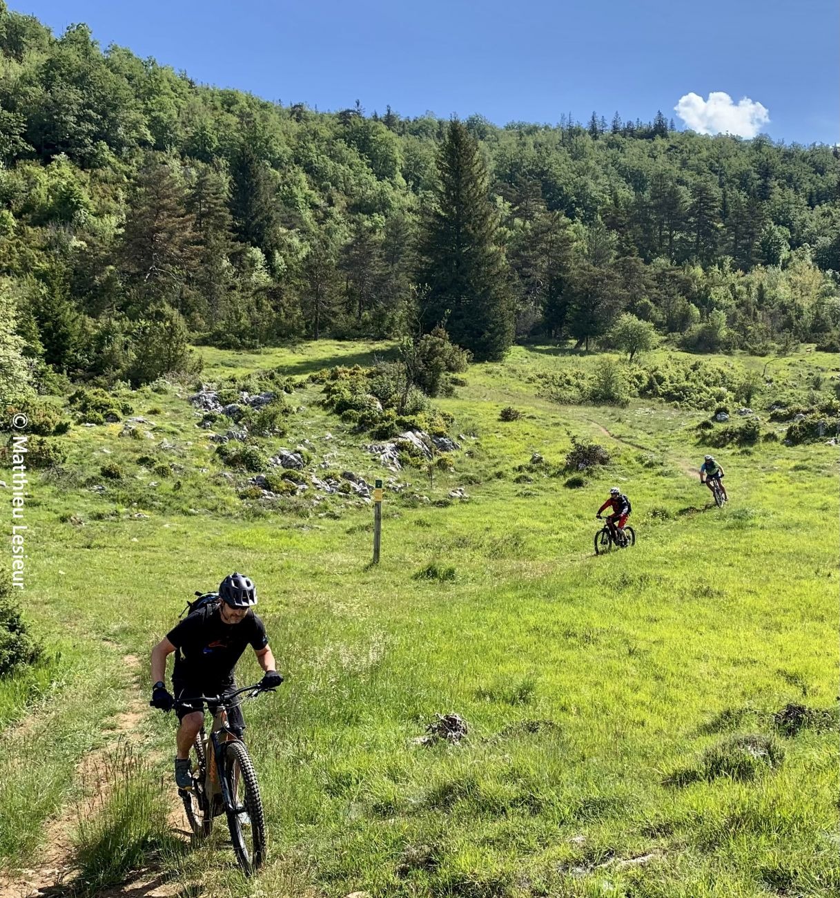 La pelouse de Bournette