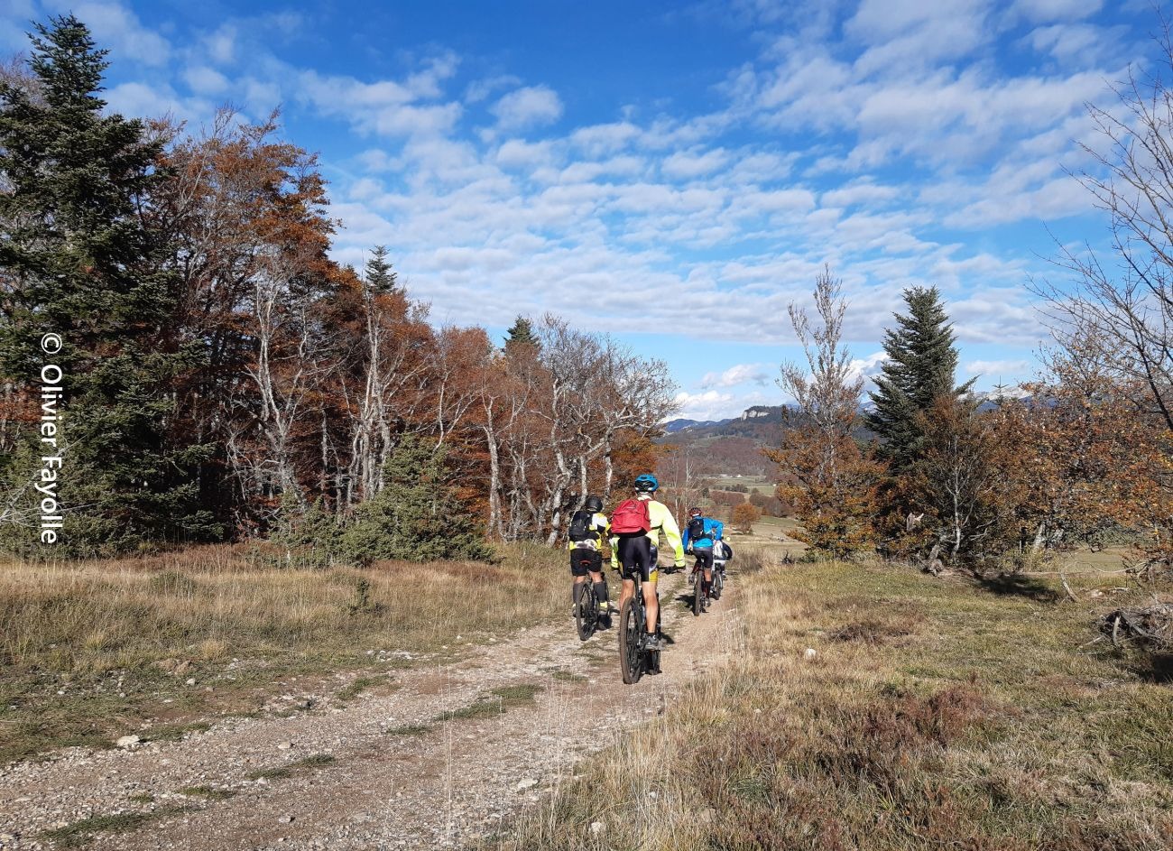 La pelouse de Bournette