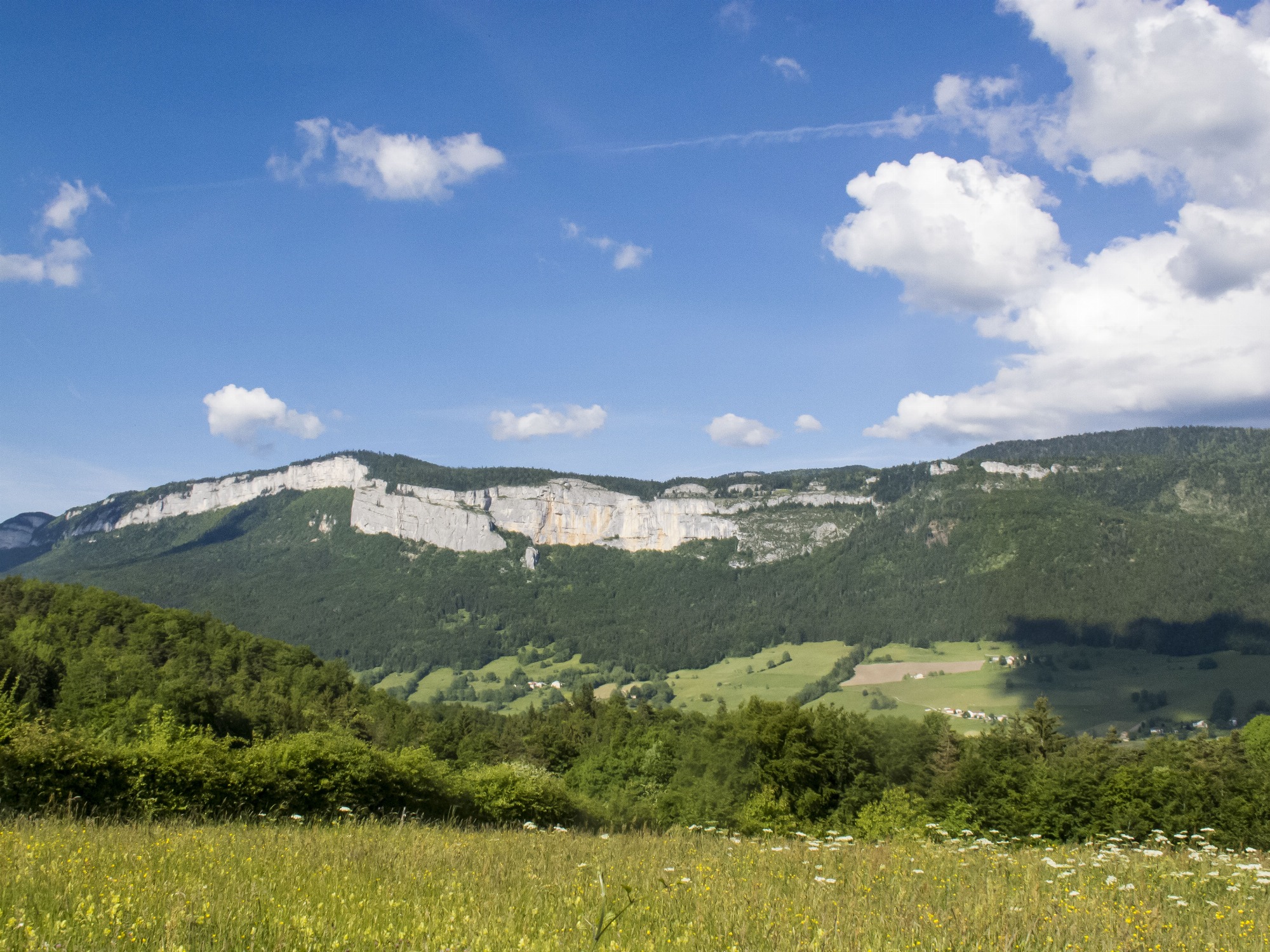 Falaise Vierge du Vercors à Saint Martin-en-Vercors