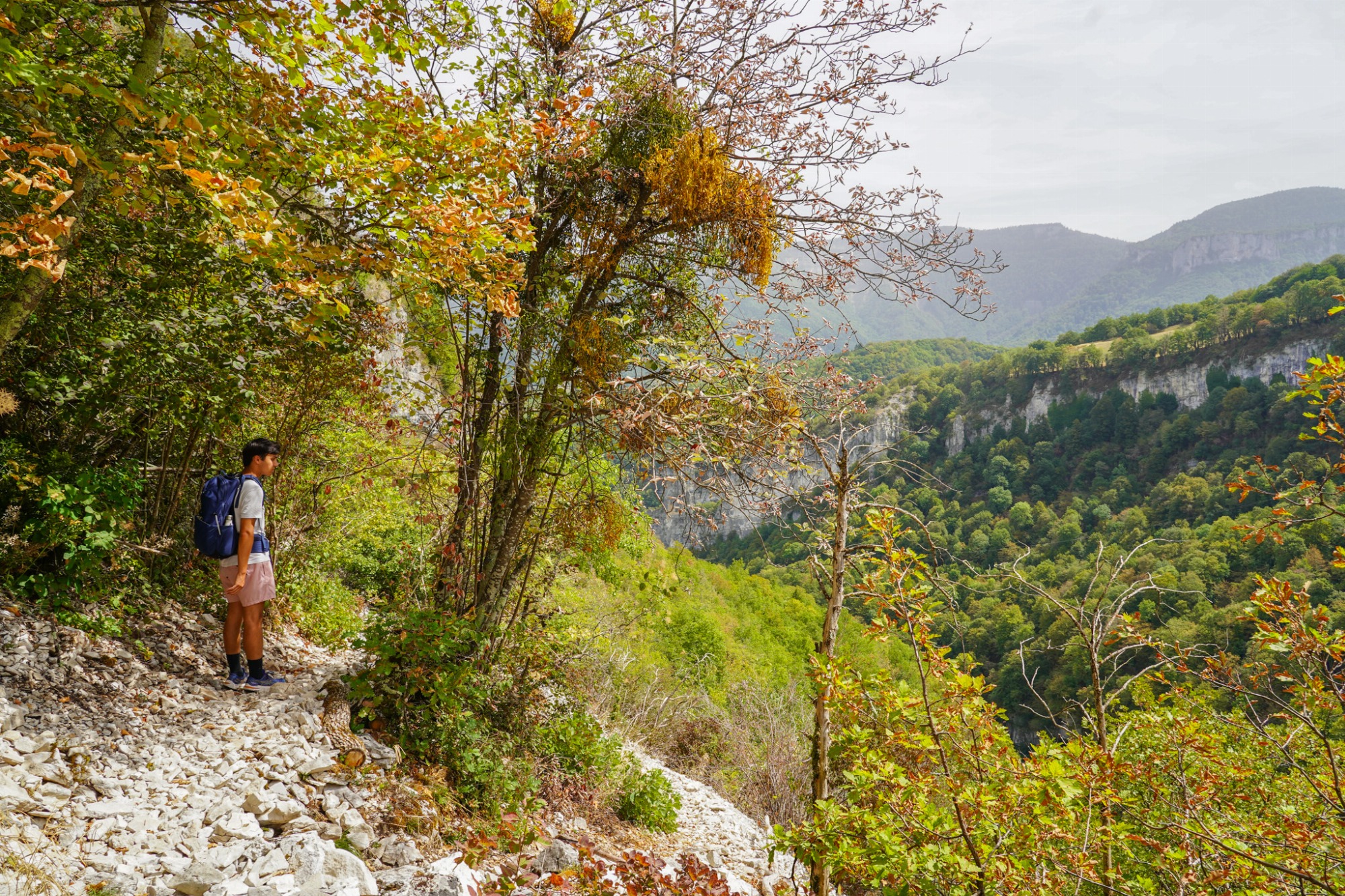Sentier caillouteux, forêt et falaise