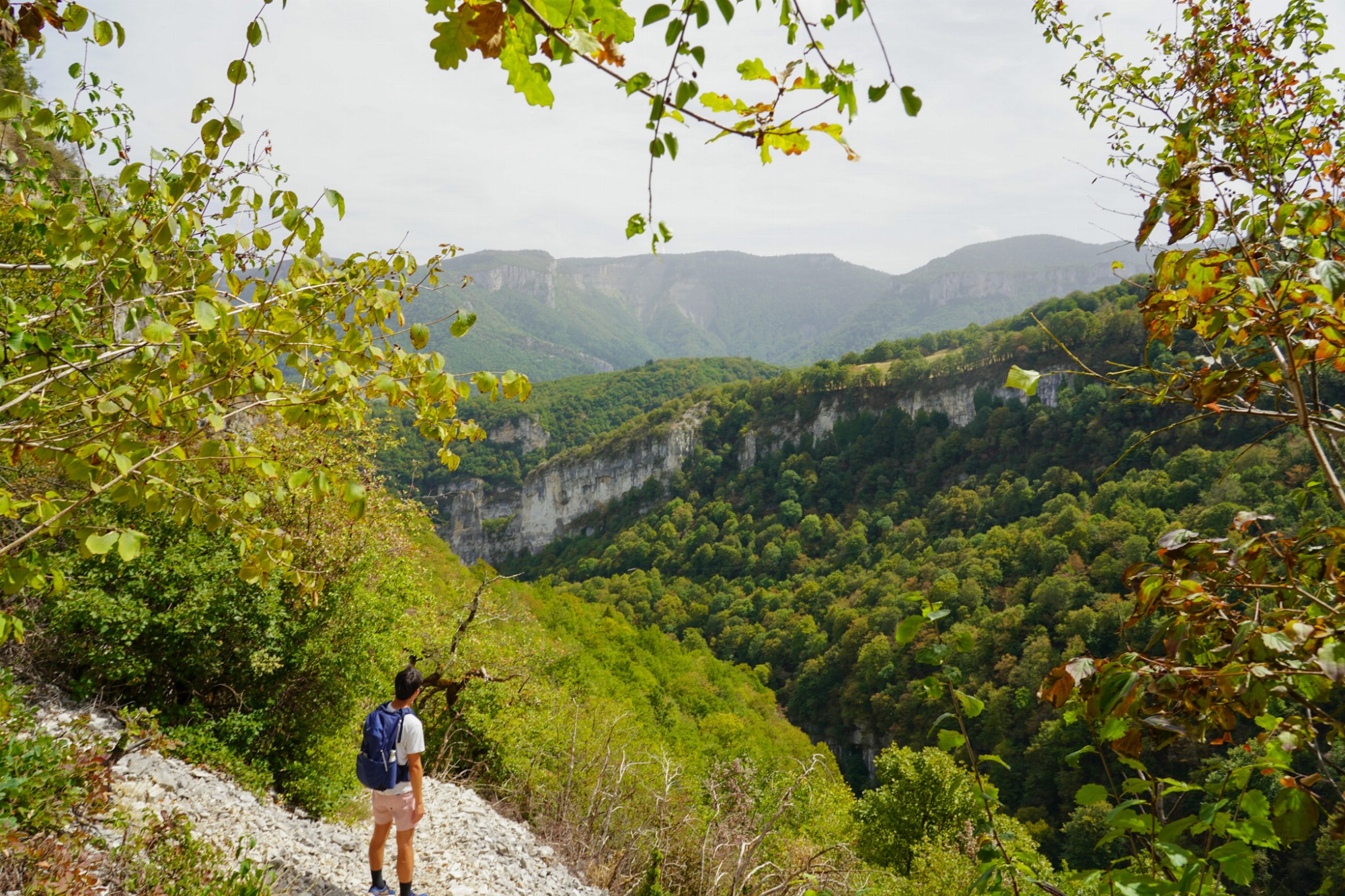 Vue sur pans de montagne verdoyants