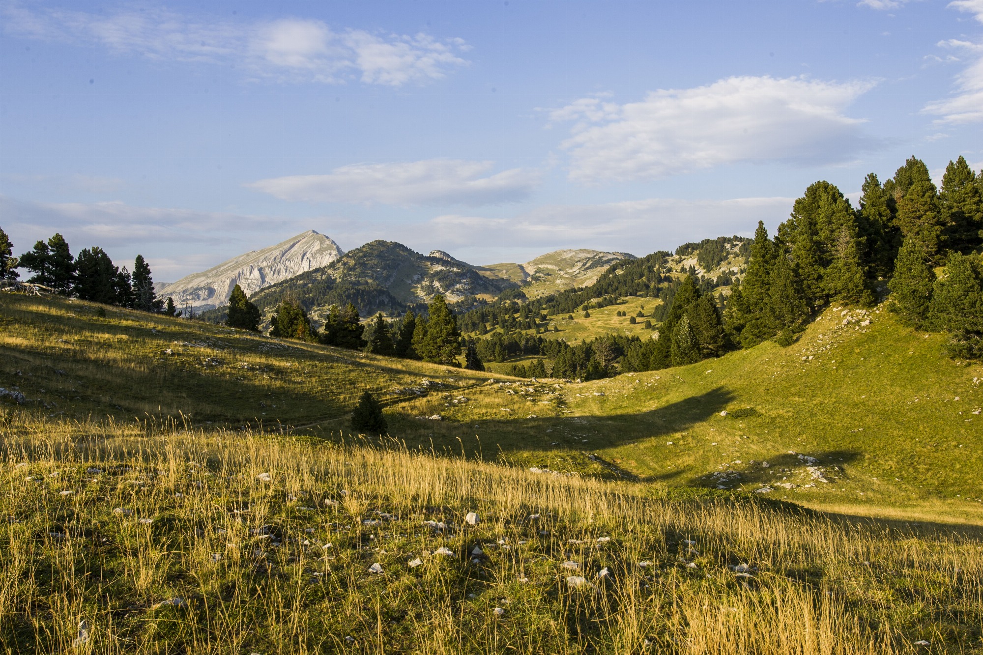 Réserve naturelle des Hauts plateaux