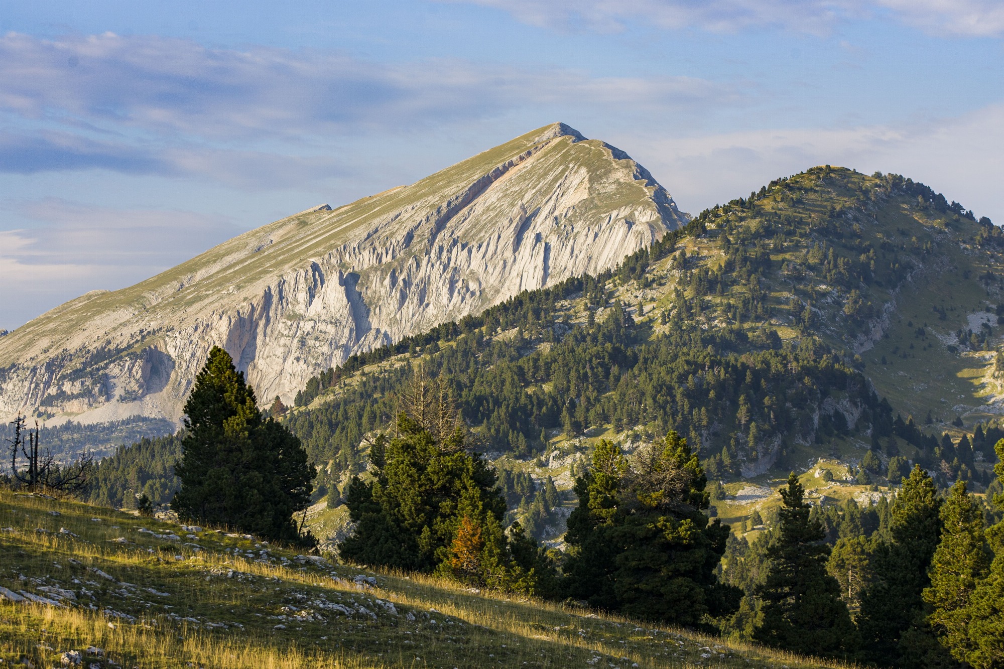 Réserve naturelle des Hauts plateaux