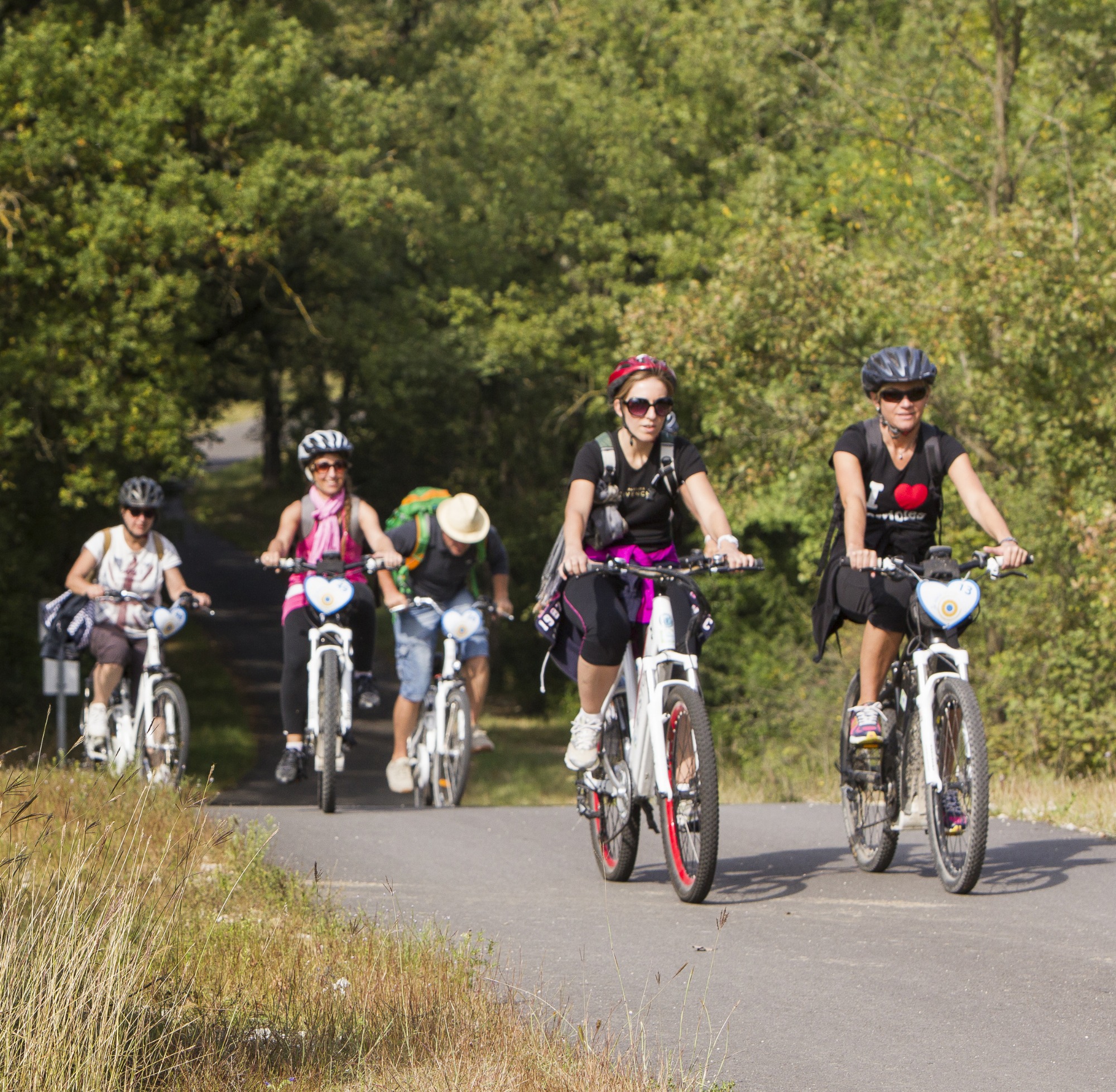 VVV Vallée de l'Isère 12