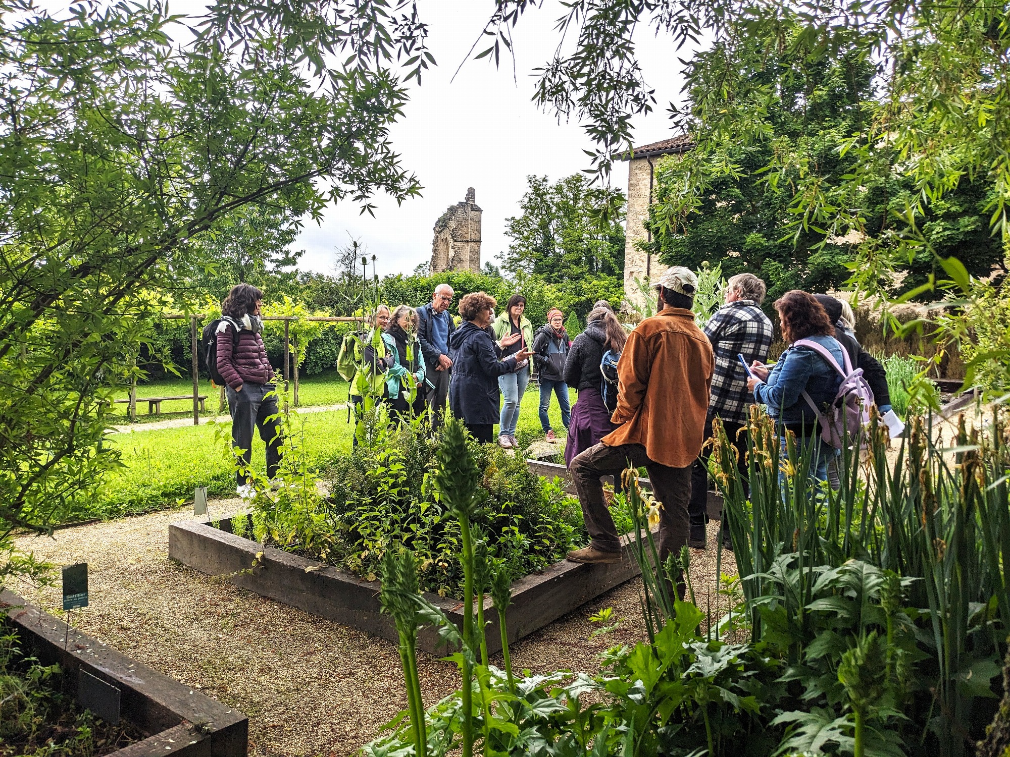 Visite du jardin des simples