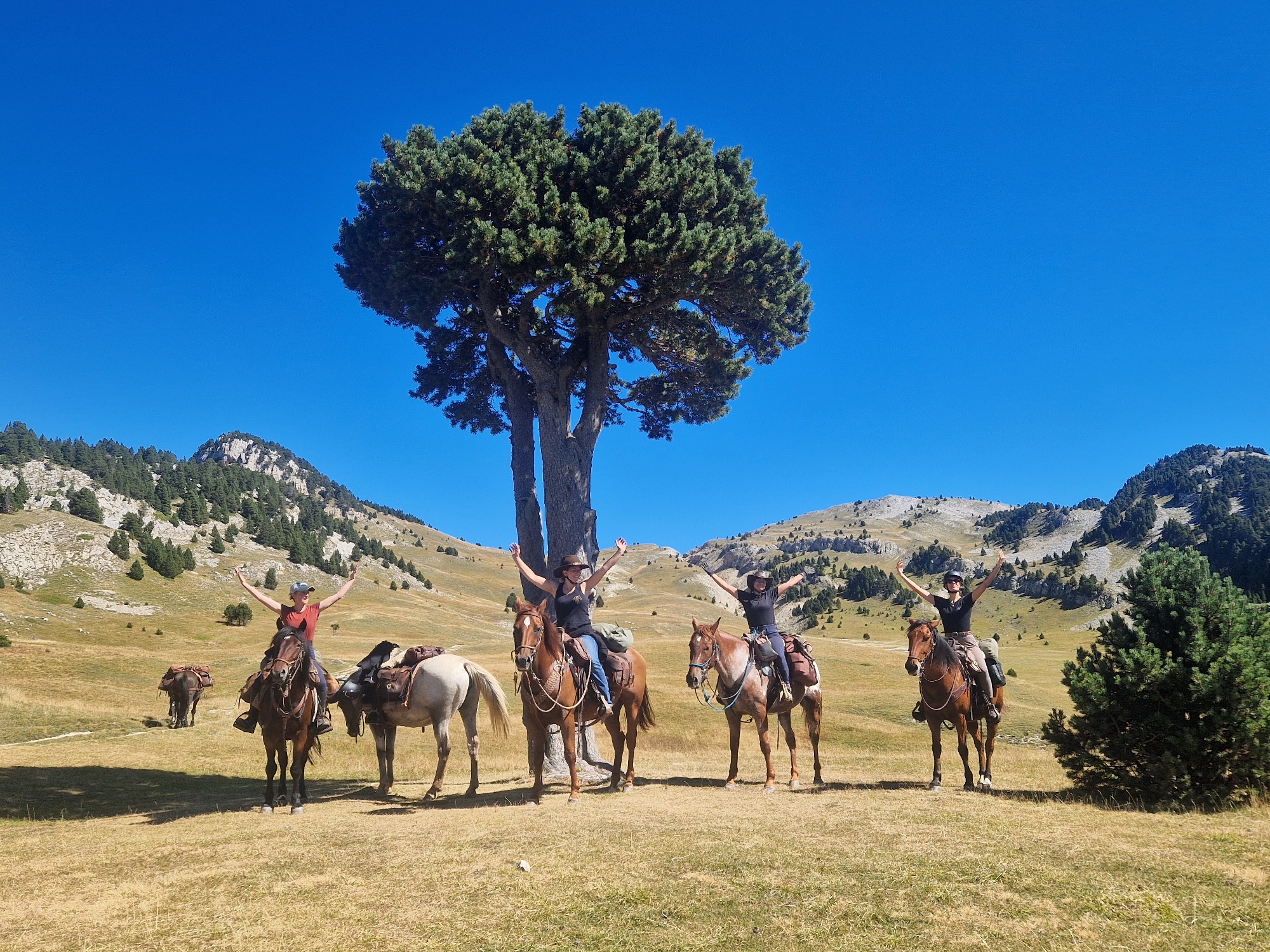 Randonnée itinérante dans la Réserve Naturelle  des Hauts plateaux