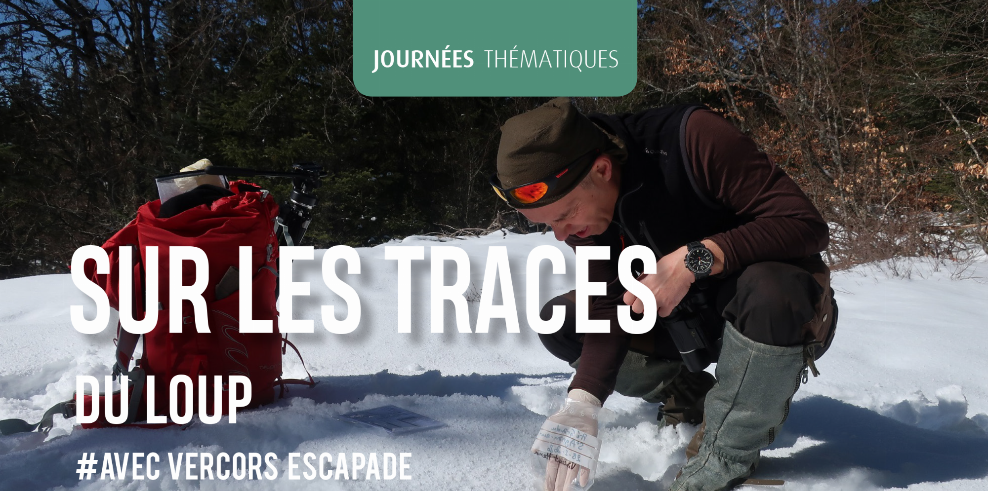 Raquettes - Sur les traces du loup_Die