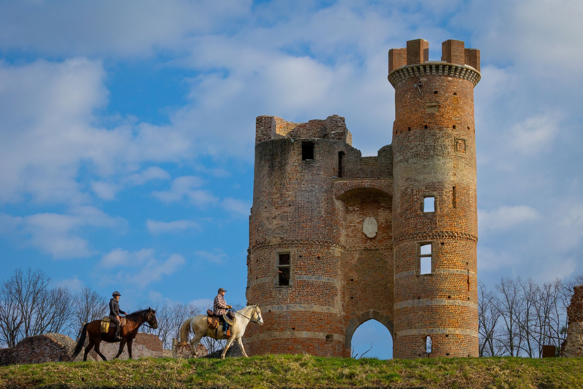 Château de Bressieux