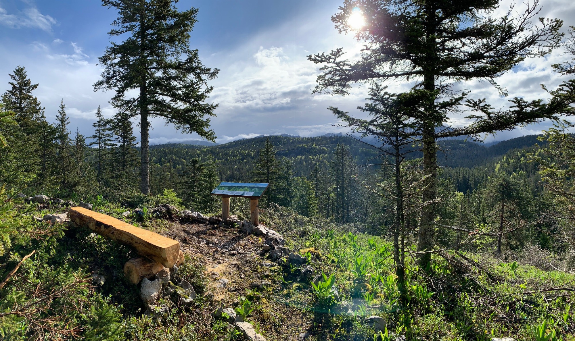 Vue sur la canopée, les montagnes avec table d'orientation et banc
