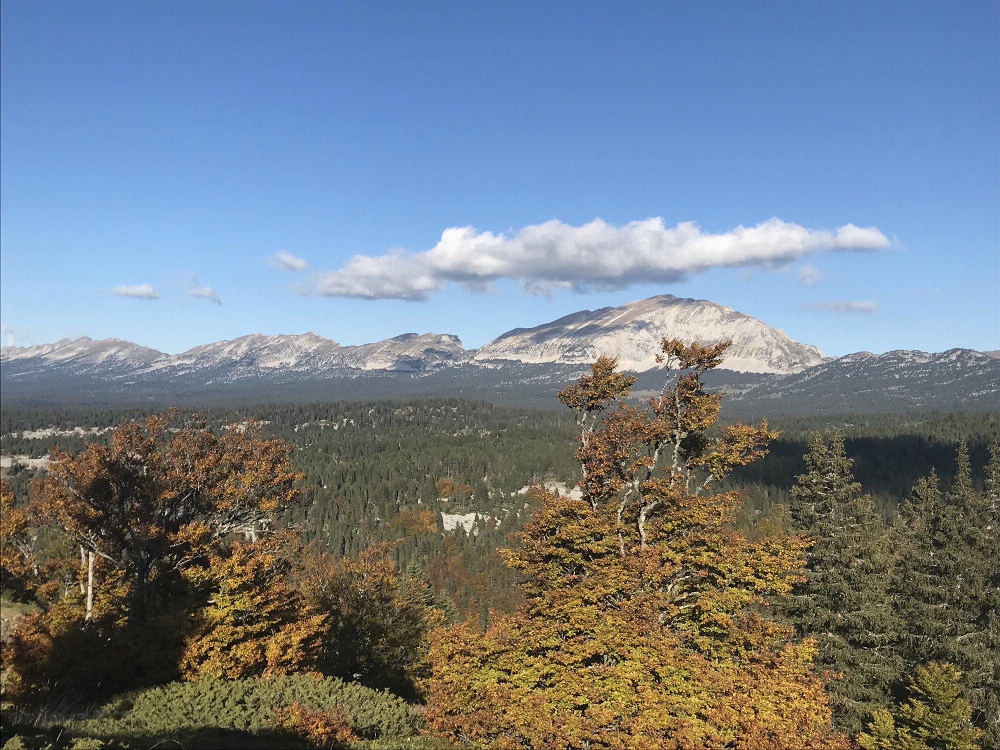 Rando Thématique Vautours  avec AEM - Beure_Saint-Agnan-en-Vercors