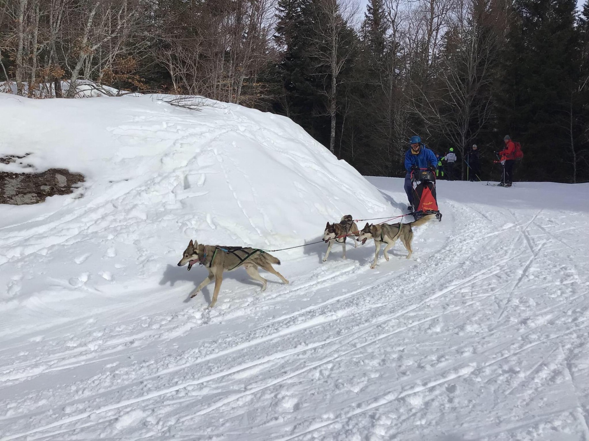 Conduite d'Attellage