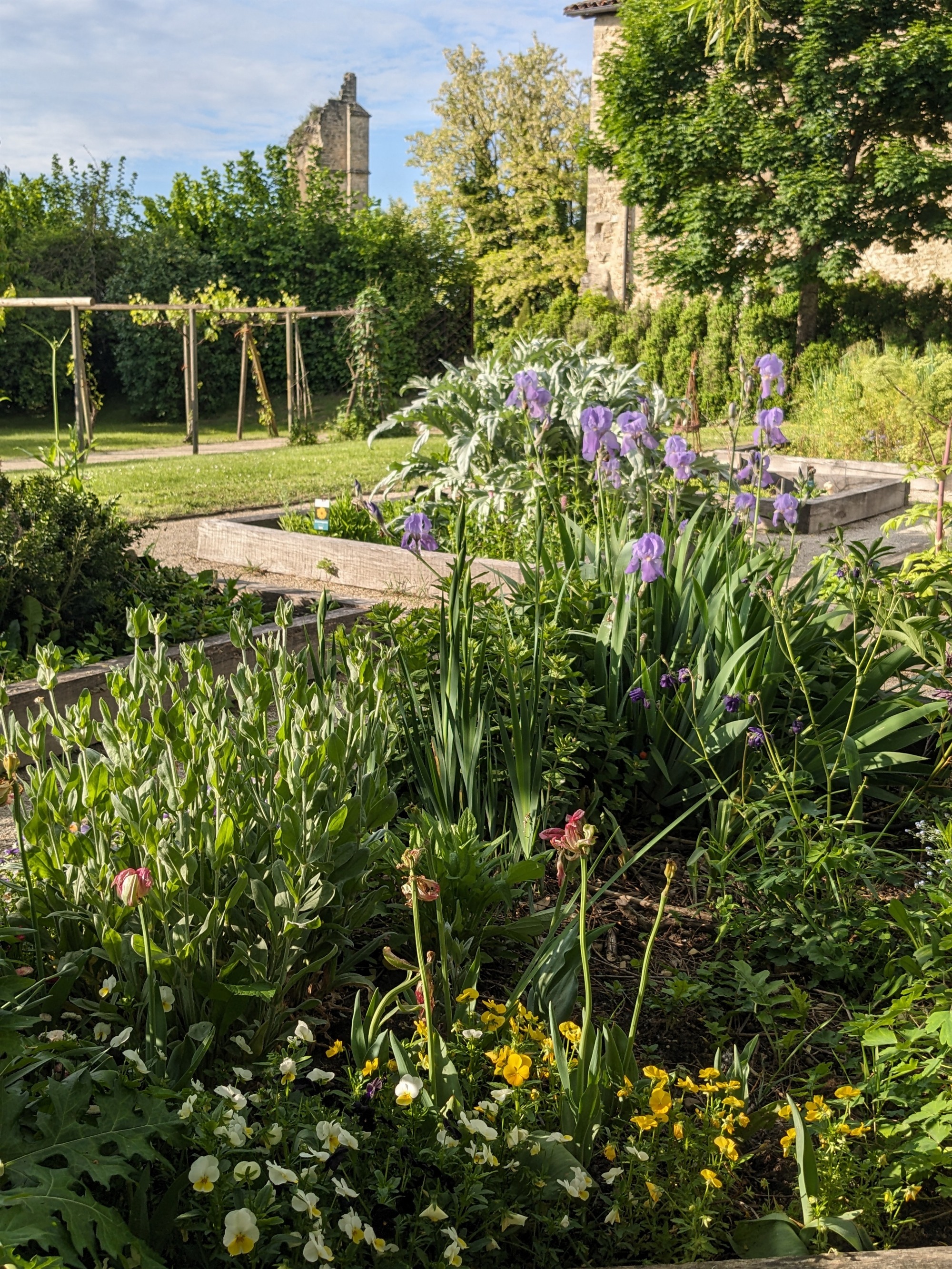 Jardin médiéval du Couvent des Carmes