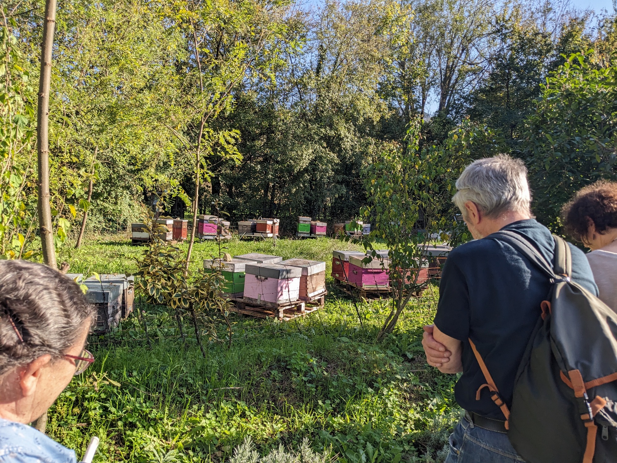 Visite du jardin mellifère