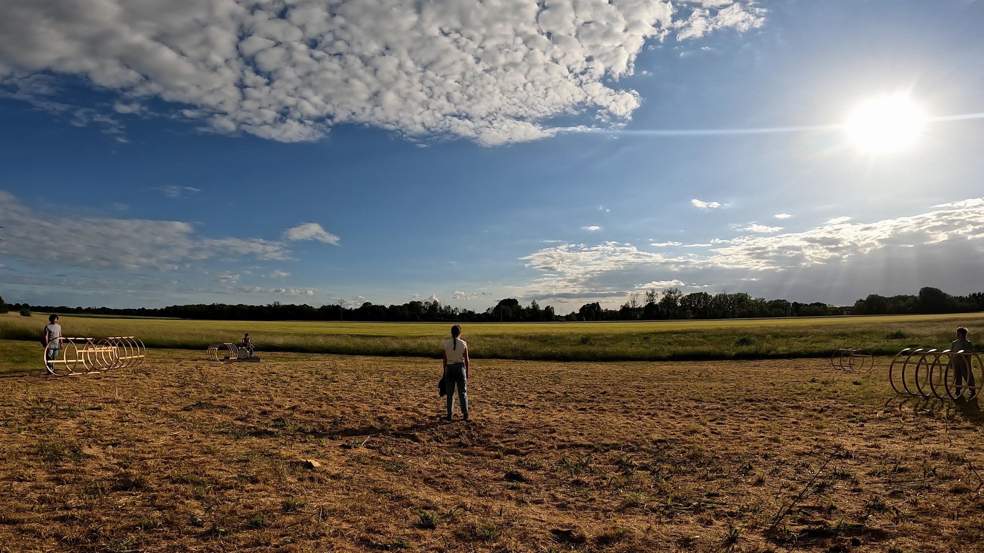 Rotofil