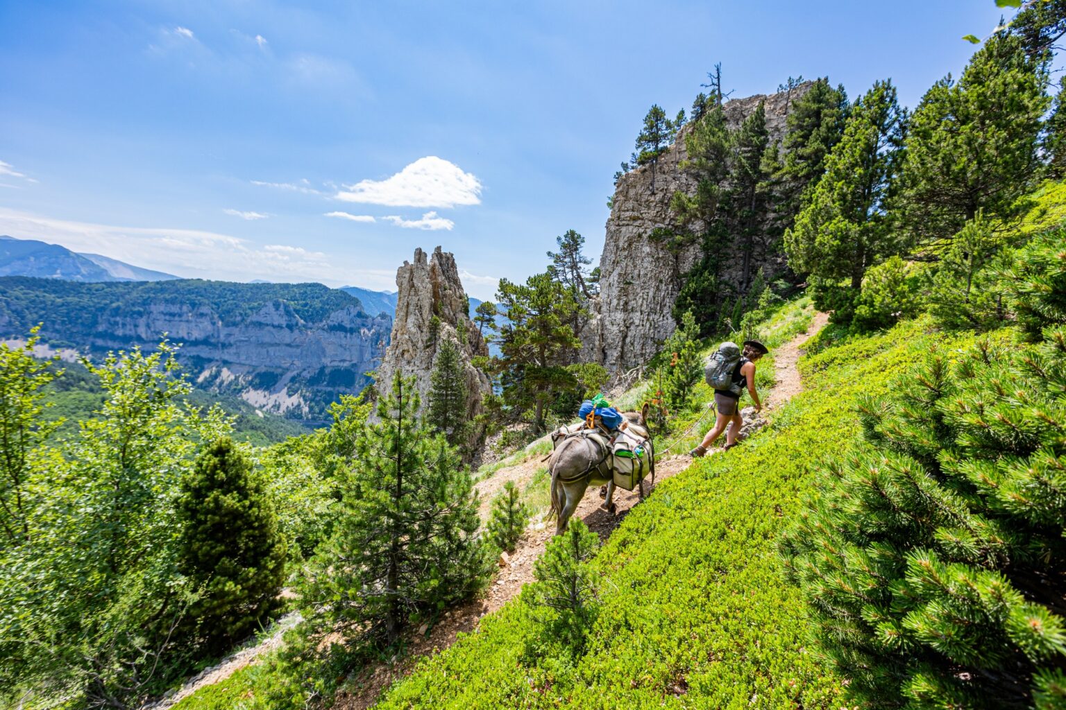 Ravensburger Lisciani Maki: Il Gioco Per Scoprire La Natura E Gli Animali Del Mondo (4-6 Anni)