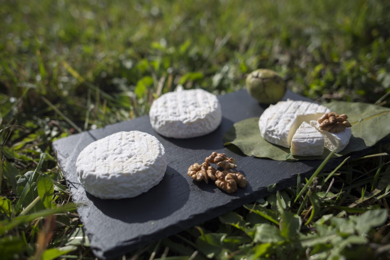 fromage saint marcellin vercors idère - Office de tourisme Vercors Drome-produits-du-terroir-lucie-moraillon_48980239708_o