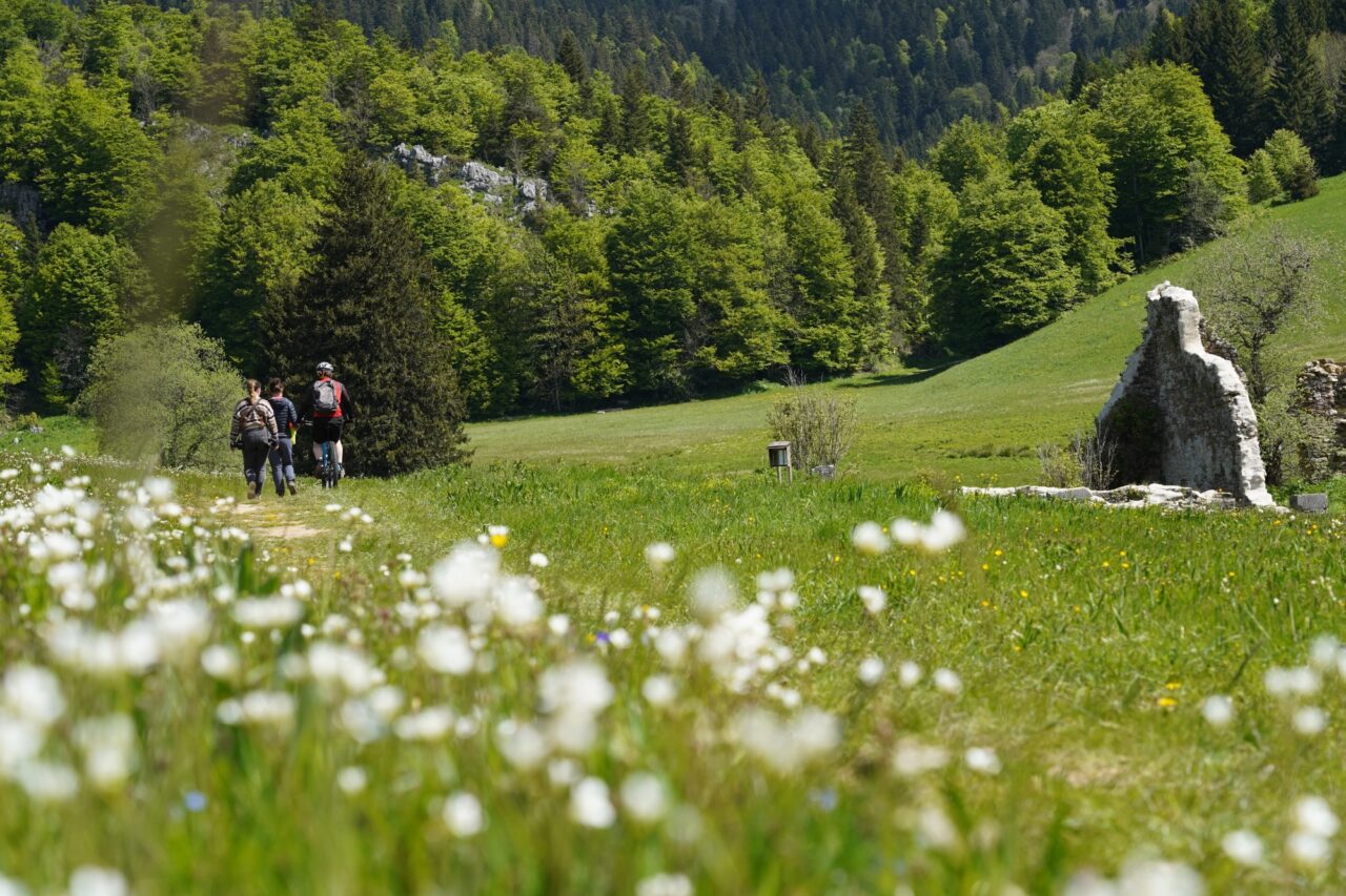 herbouilly-activite-sportive-culturelle-royans-vercors_office-de-tourisme-vercors-drome