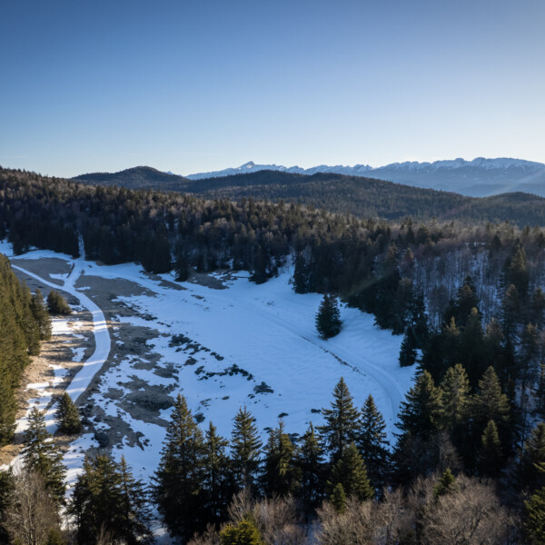 A vos marques, prêts… skiez !...